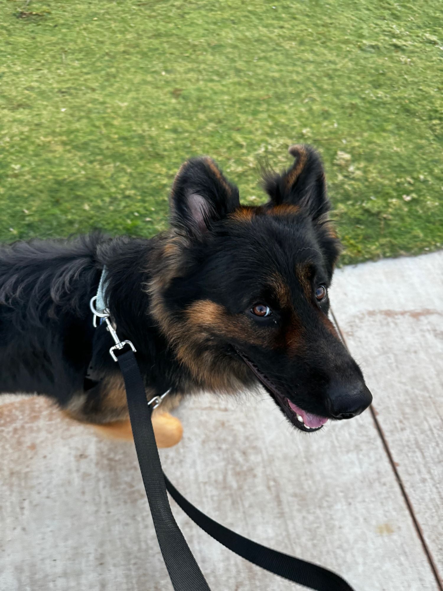 Heidi Y. Testimonial