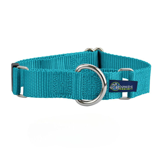 5/8″ and 1″ Teal Nylon Martingale Dog Collar – 2 Hounds Design