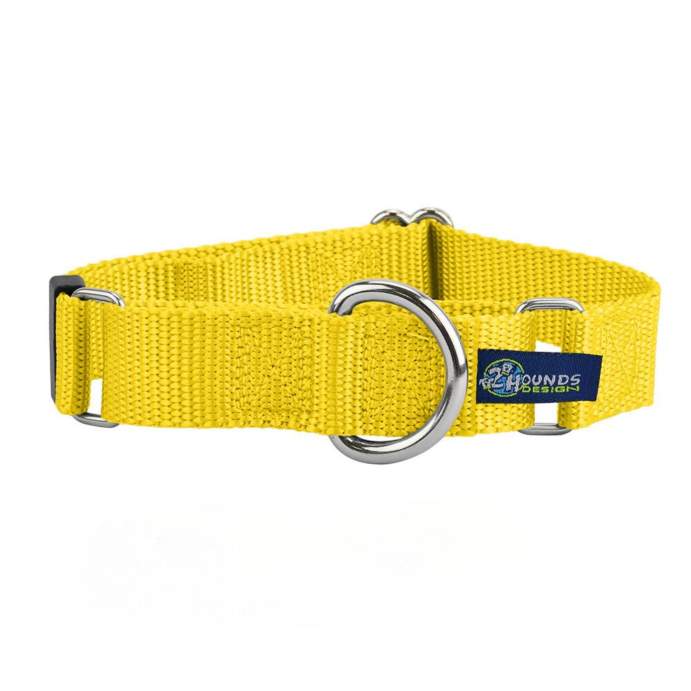 5 8″ And 1″ Yellow Nylon Martingale Dog Collar – 2 Hounds Design