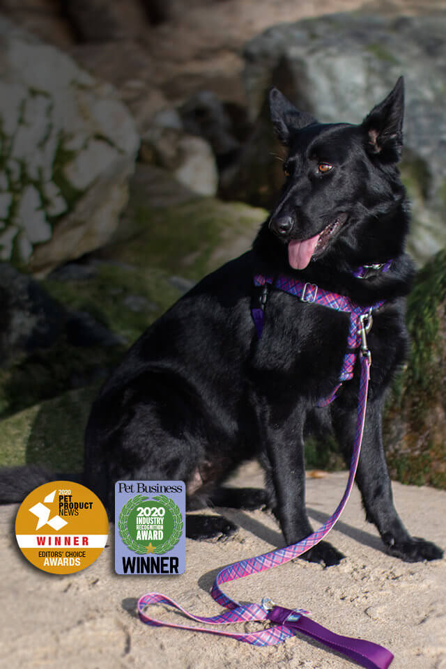 2 Hounds Design