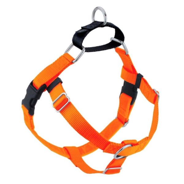Neon orange no-pull freedom dog harness with double leash attachment points by 2 Hounds Design