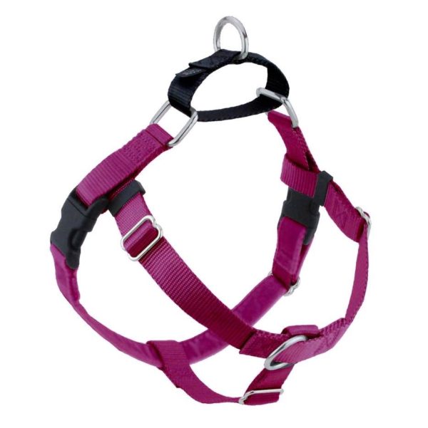 Raspberry no-pull freedom dog harness with double leash attachment points by 2 Hounds Design