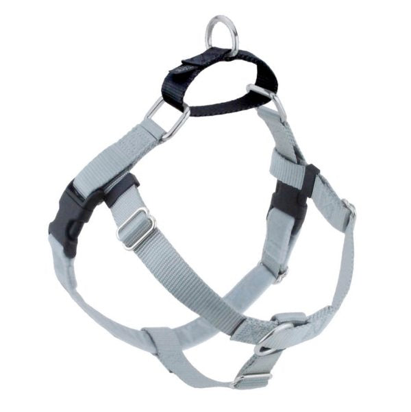 Silver no-pull freedom dog harness with double leash attachment points by 2 Hounds Design