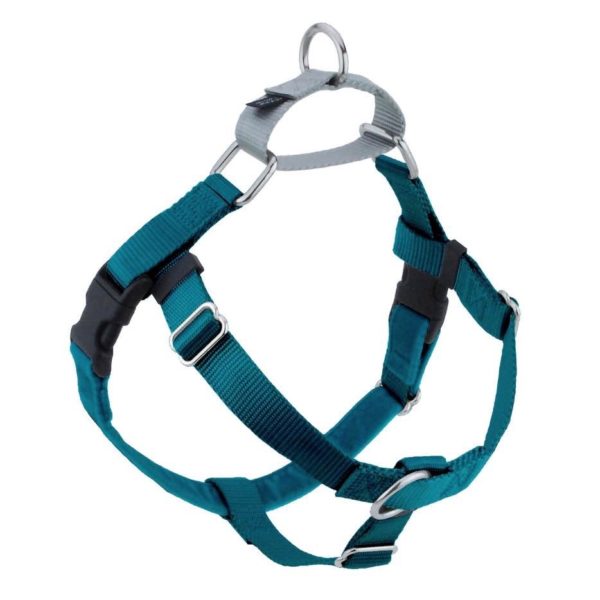 Teal no-pull freedom dog harness with double leash attachment points by 2 Hounds Design