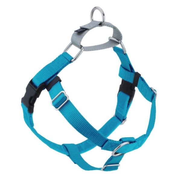 Turquoise no-pull freedom dog harness with double leash attachment points by 2 Hounds Design