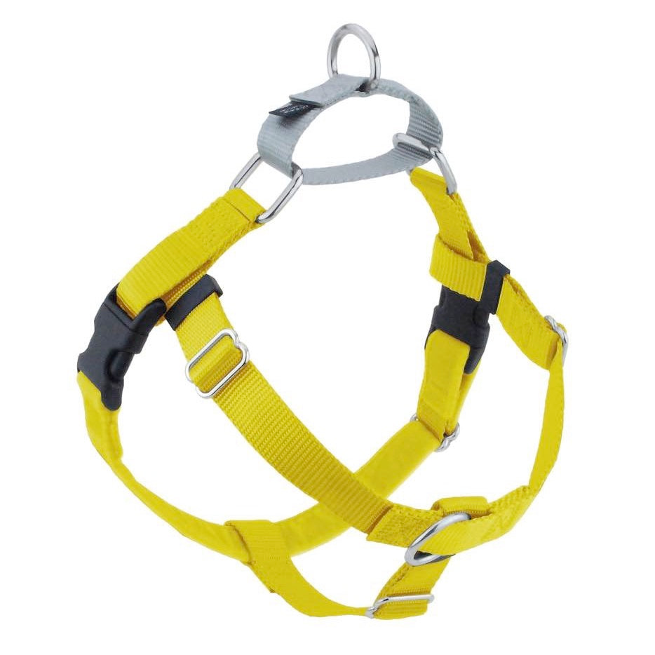 Yellow no-pull freedom dog harness with double leash attachment points by 2 Hounds Design