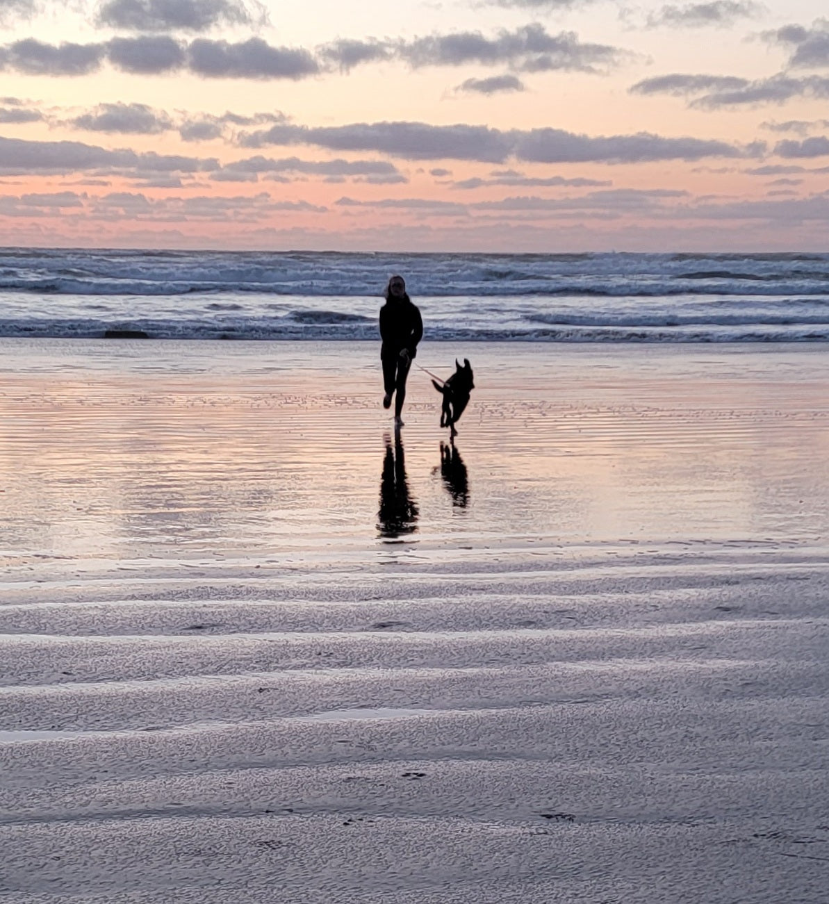 is ocean water good for dog skin